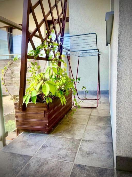 Apartament Grzegorzecka Centrum 克拉科夫 外观 照片